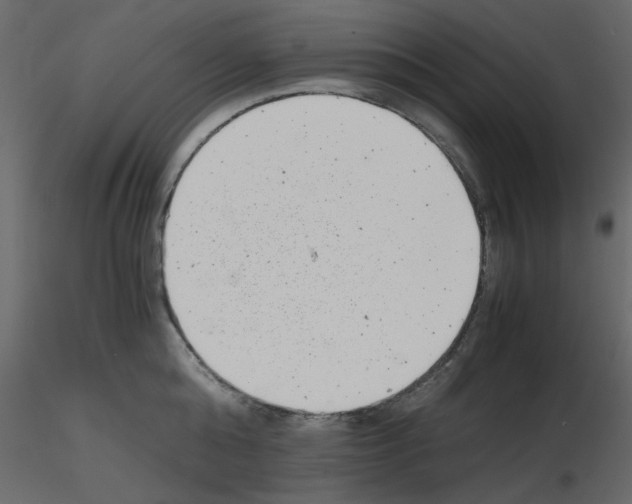 X0000115680808200912241439