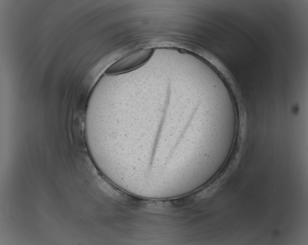 X0000115680809200912241439