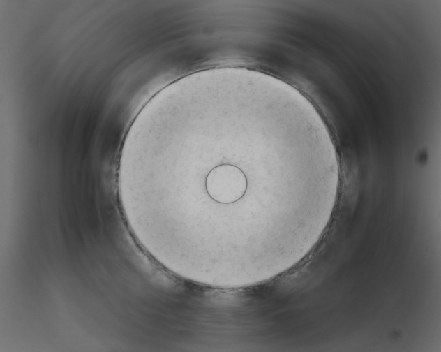 X0000115680810200912241439