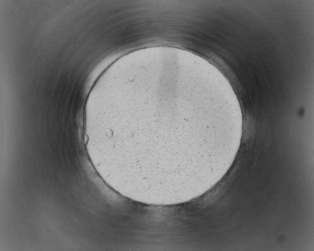 X0000115680812200912241439