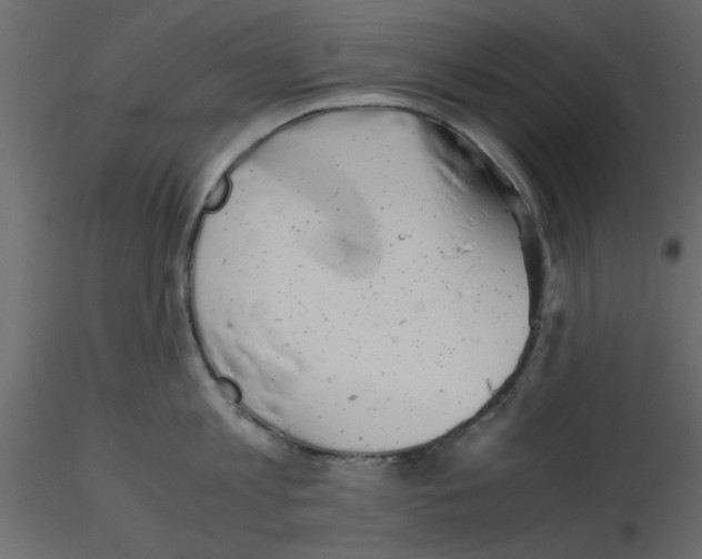 X0000115680813200912241439