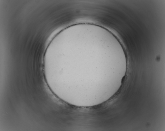 X0000115680815200912241439