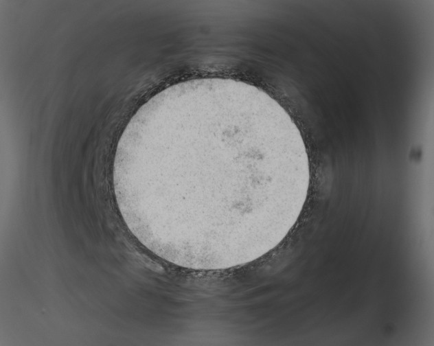 X0000115680817200912241438