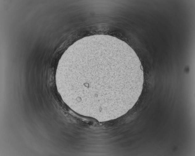 X0000115680818200912241438