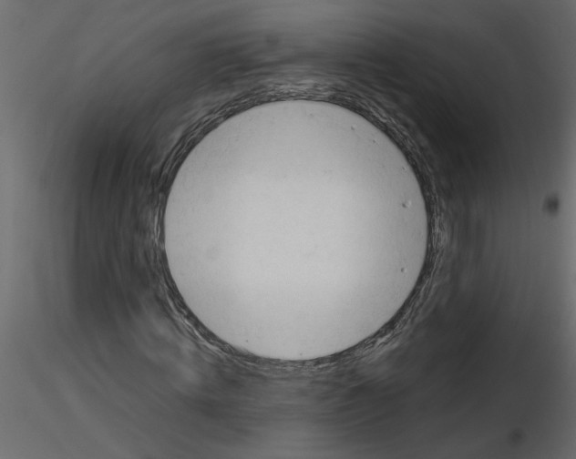 X0000115680820200912241438
