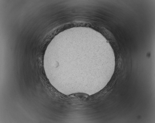 X0000115680821200912241438