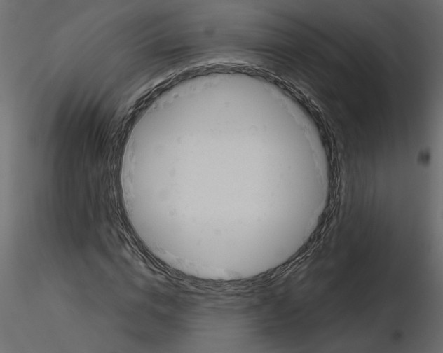 X0000115680824200912241439