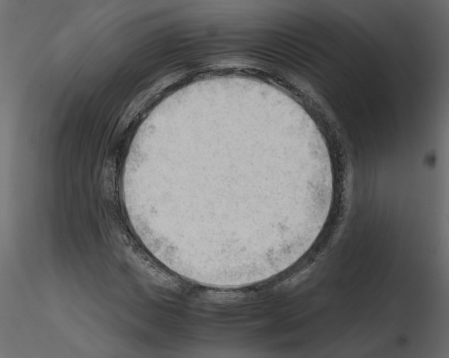 X0000115680825200912241439