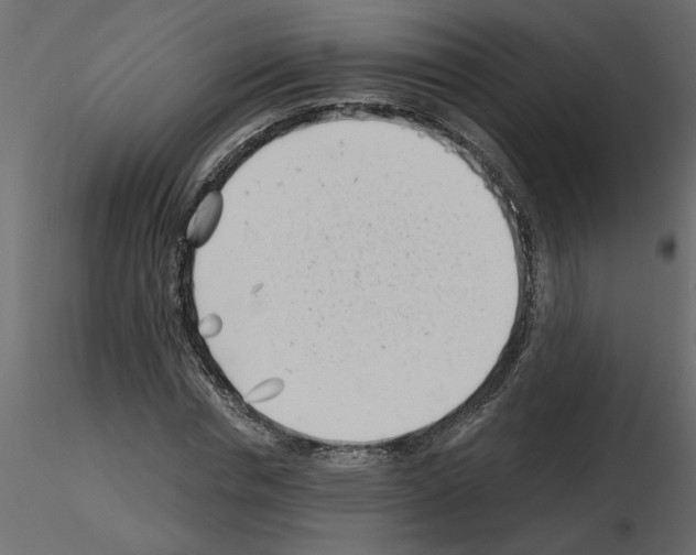 X0000115680826200912241439