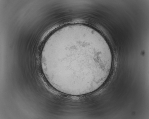 X0000115680827200912241439