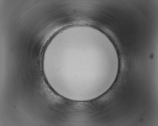 X0000115680828200912241439
