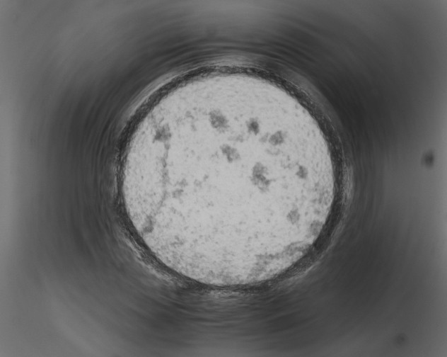 X0000115680829200912241439