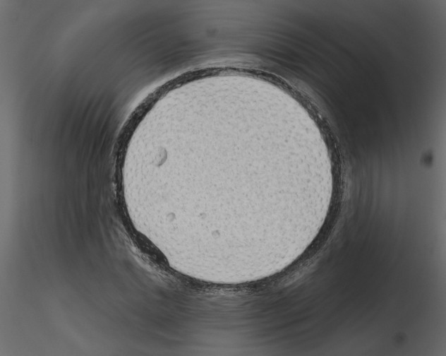 X0000115680830200912241439