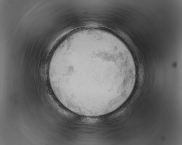 X0000115680831200912241439