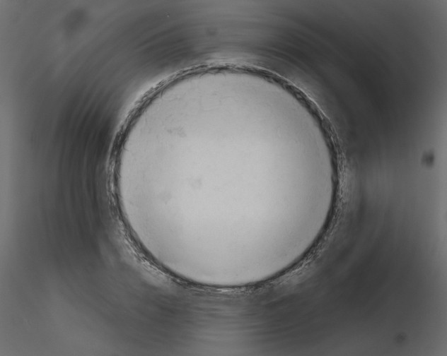 X0000115680832200912241439