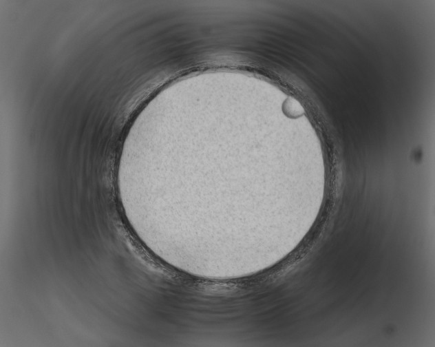 X0000115680833200912241439