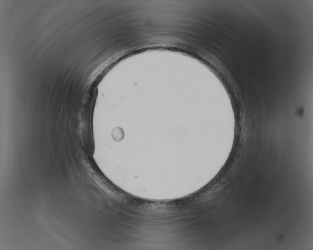 X0000115680834200912241439