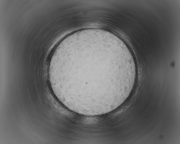 X0000115680835200912241439