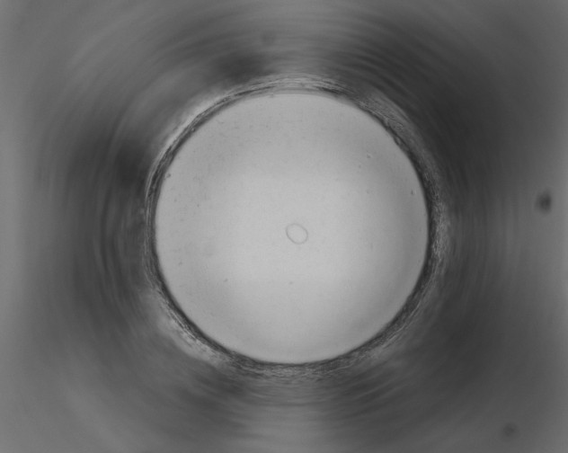 X0000115680836200912241439