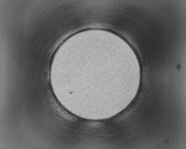 X0000115680837200912241439