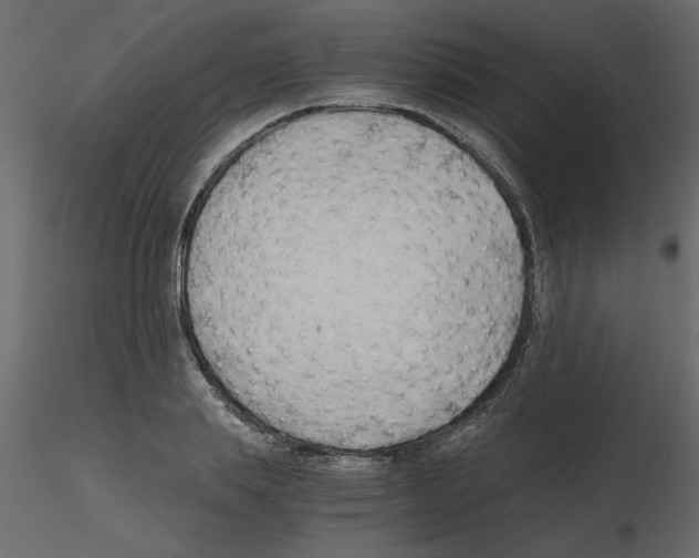 X0000115680839200912241439
