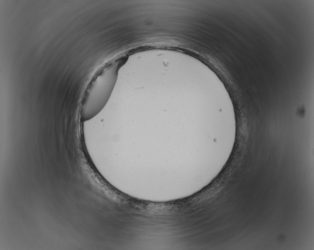 X0000115680840200912241439