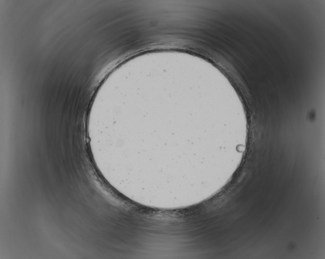X0000115680842200912241439