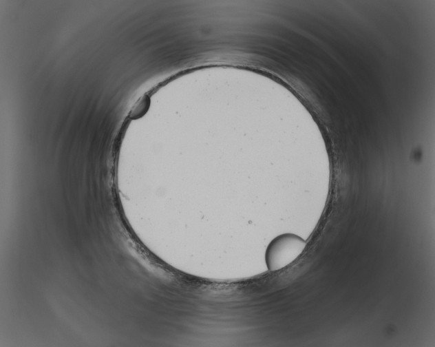 X0000115680846200912241439