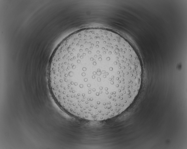 X0000115680847200912241439