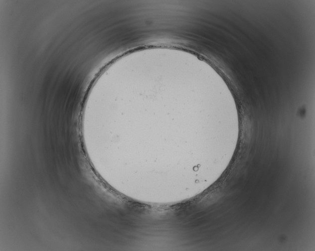 X0000115680848200912241439