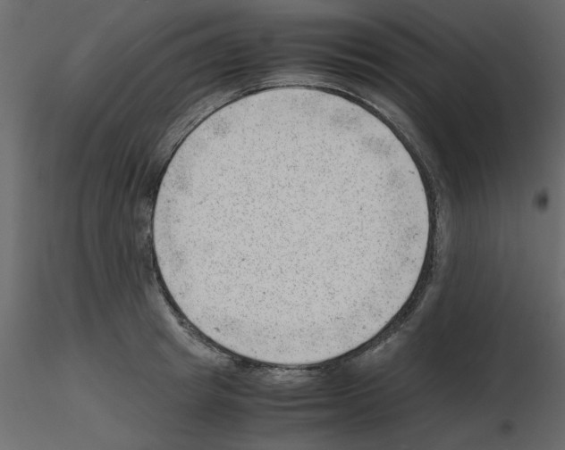 X0000115680849200912241439
