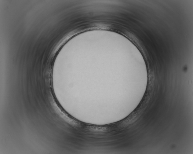 X0000115680851200912241439
