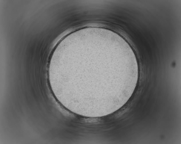 X0000115680853200912241439