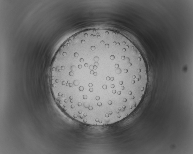 X0000115680855200912241439