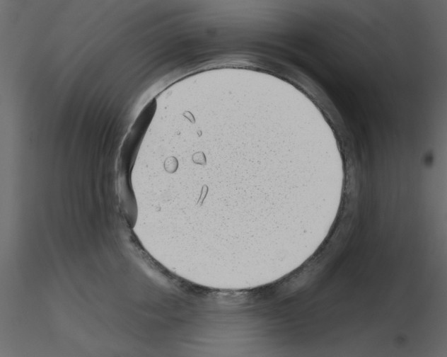 X0000115680858200912241439