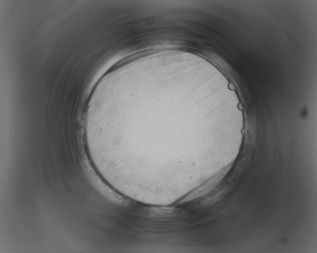 X0000115680859200912241439