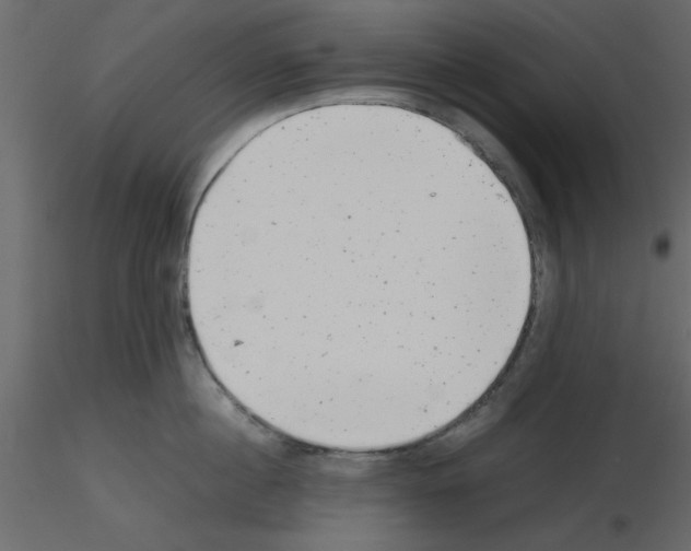 X0000115680860200912241439