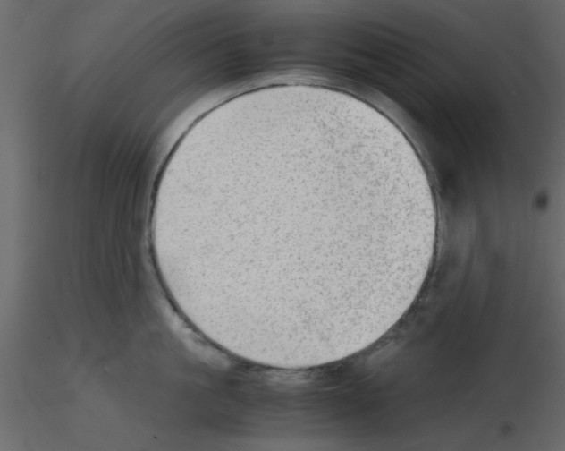 X0000115680861200912241439
