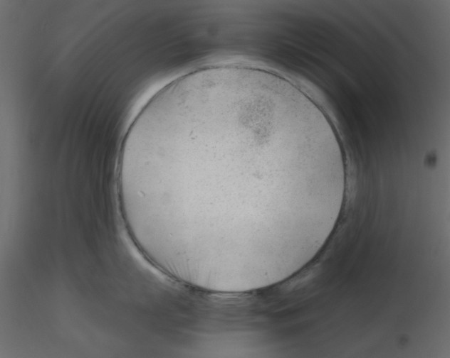 X0000115680863200912241439