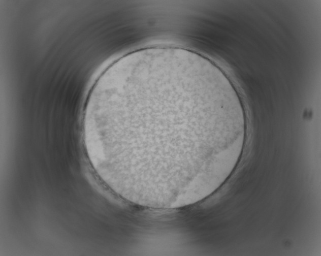 X0000115680864200912241439