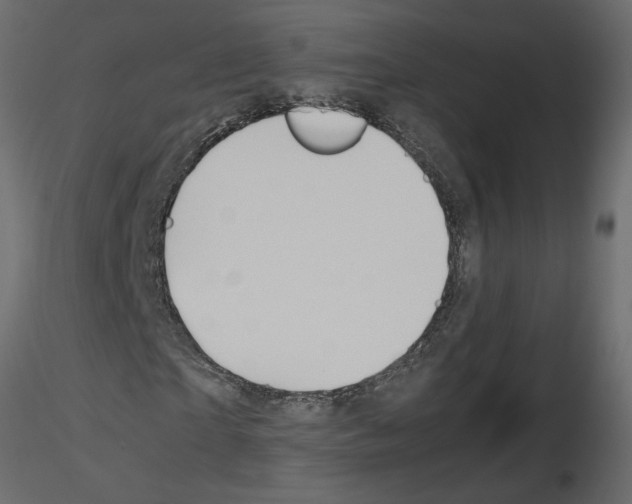 X0000115680865200912241438
