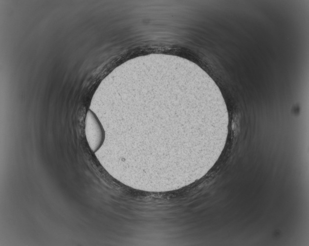 X0000115680867200912241438