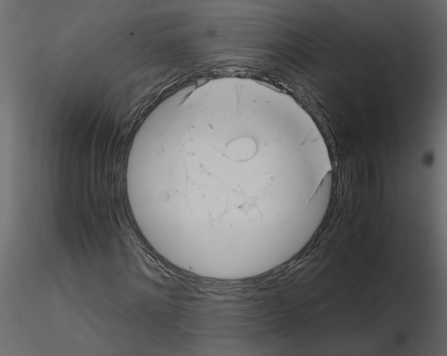 X0000115680868200912241438