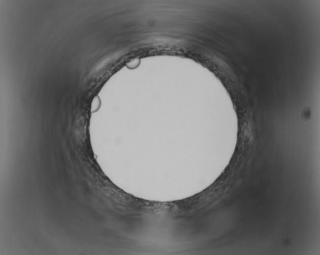 X0000115680869200912241438