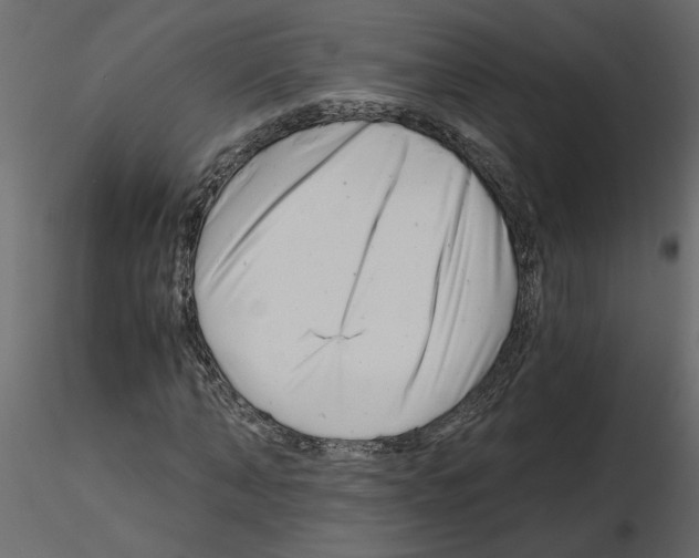 X0000115680870200912241438