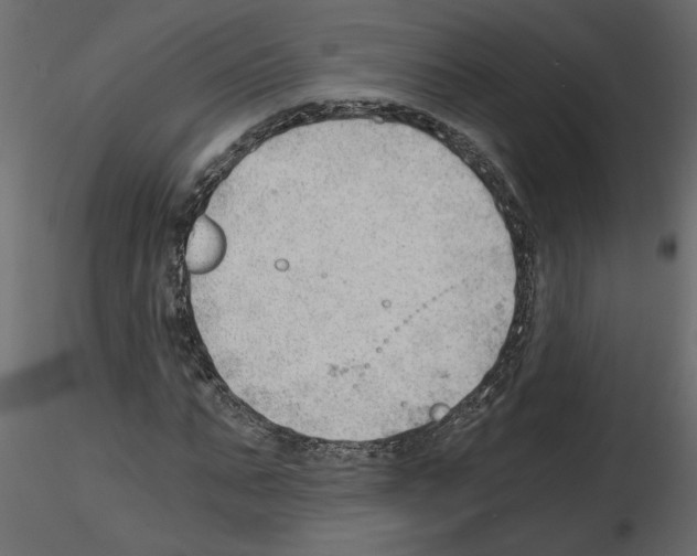 X0000115680871200912241438