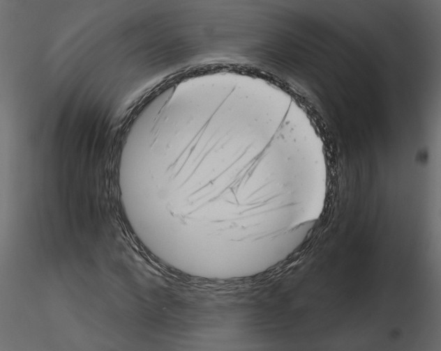 X0000115680872200912241438