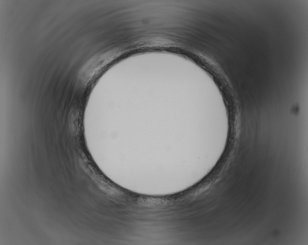 X0000115680873200912241438