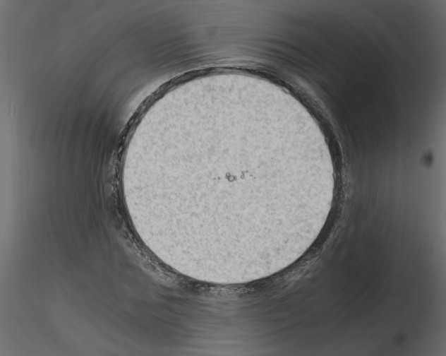 X0000115680875200912241438
