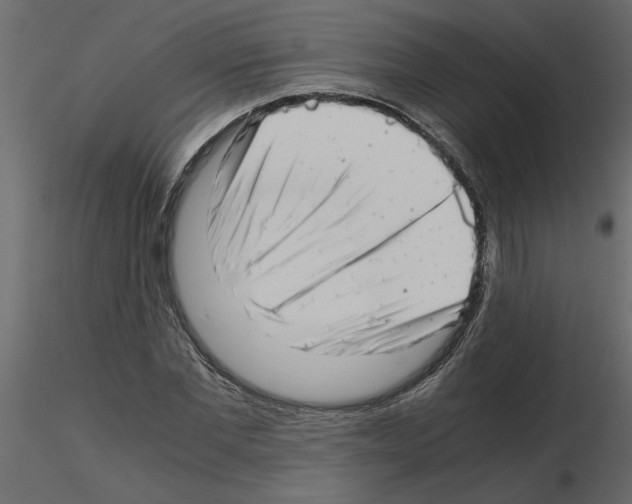 X0000115680877200912241438